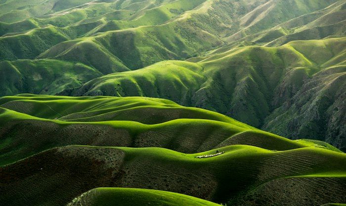 Green hills